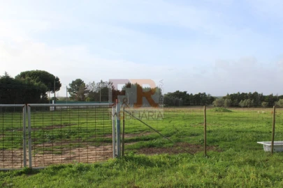 Quinta T2 para Venda em Azeitão (São Lourenço e São Simão)