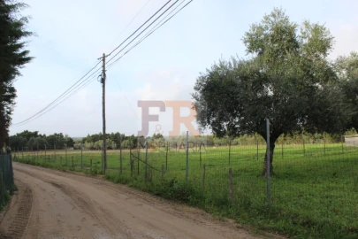 Quinta T2 para Venda em Azeitão (São Lourenço e São Simão)