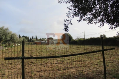 Quinta T2 para Venda em Azeitão (São Lourenço e São Simão)