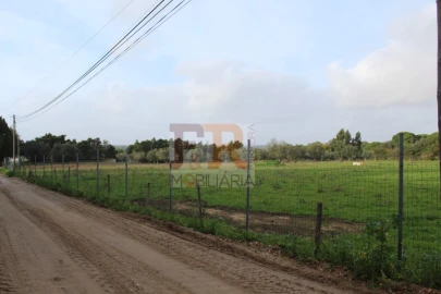 Quinta T2 para Venda em Azeitão (São Lourenço e São Simão)