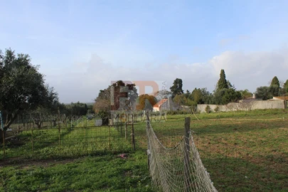 Quinta T2 para Venda em Azeitão (São Lourenço e São Simão)