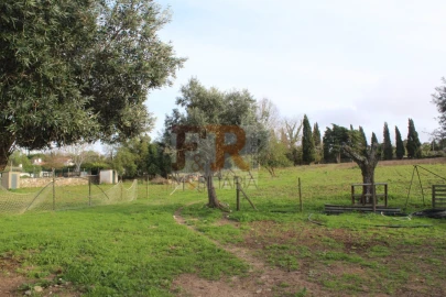 Quinta T2 para Venda em Azeitão (São Lourenço e São Simão)
