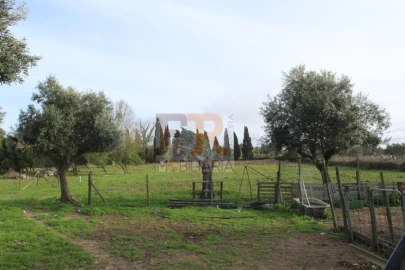 Quinta T2 para Venda em Azeitão (São Lourenço e São Simão)