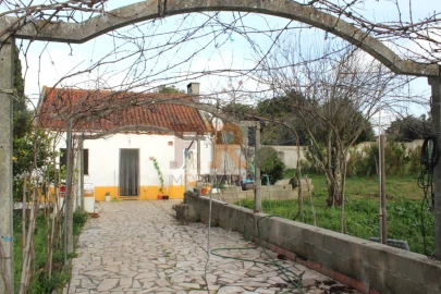 Quinta T2 para Venda em Azeitão (São Lourenço e São Simão)