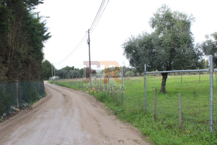 Quinta T2 para Venda em Azeitão (São Lourenço e São Simão) Foto 26