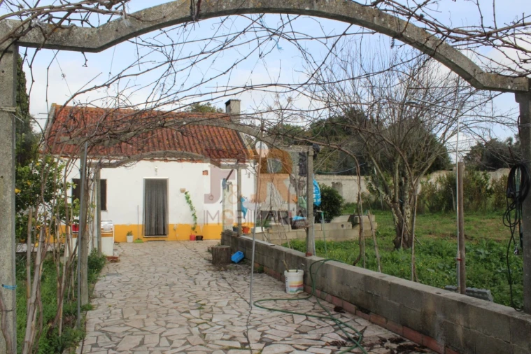 Quinta T2 para Venda em Azeitão (São Lourenço e São Simão) Foto 38