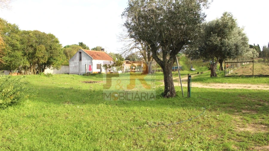 Quinta T2 para Venda em Azeitão (São Lourenço e São Simão)