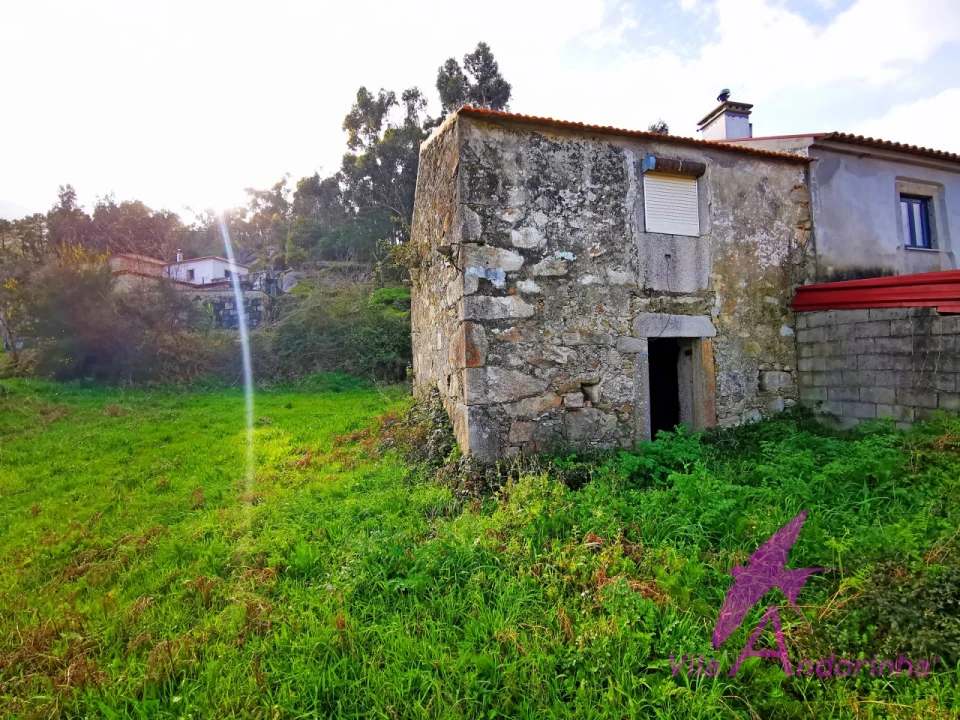 Terreno para Venda em Venade e Azevedo Foto 4