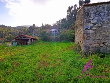 Terreno para Venda em Venade e Azevedo