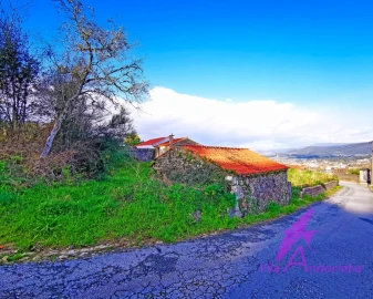 Terreno para Venda em Venade e Azevedo