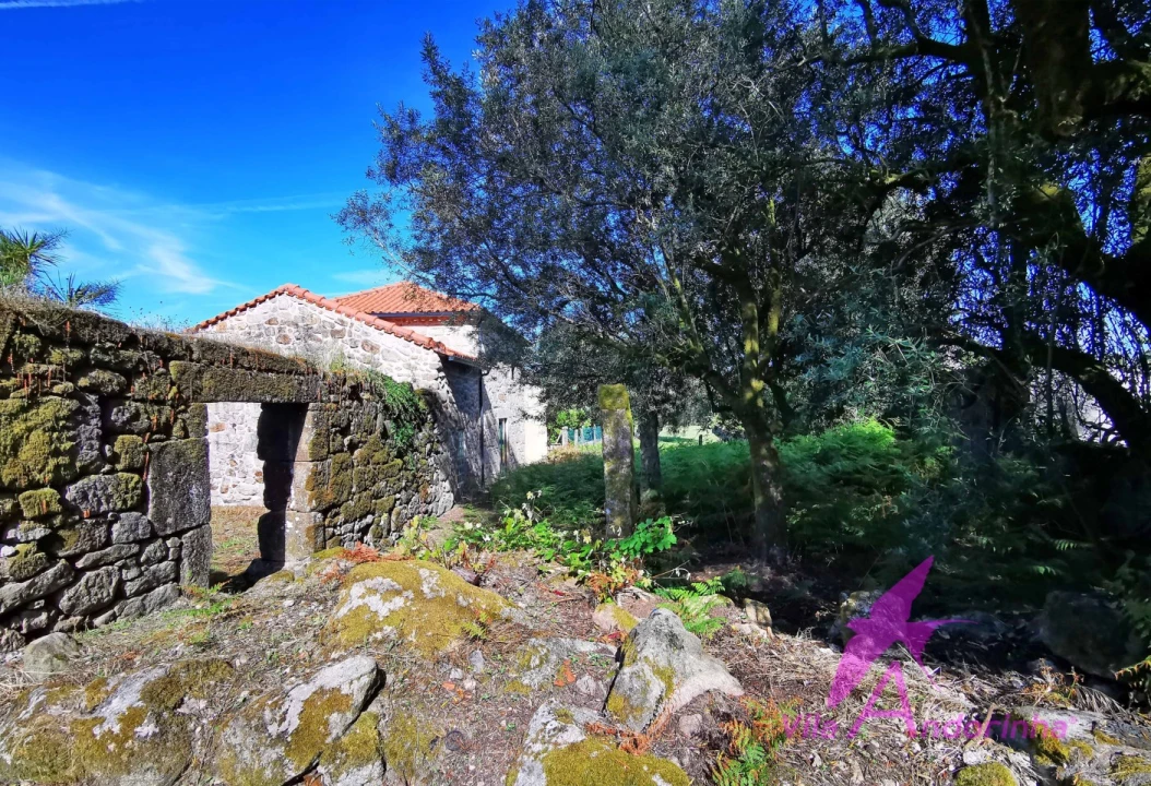 Terreno para Venda em São Pedro de Arcos Foto 2