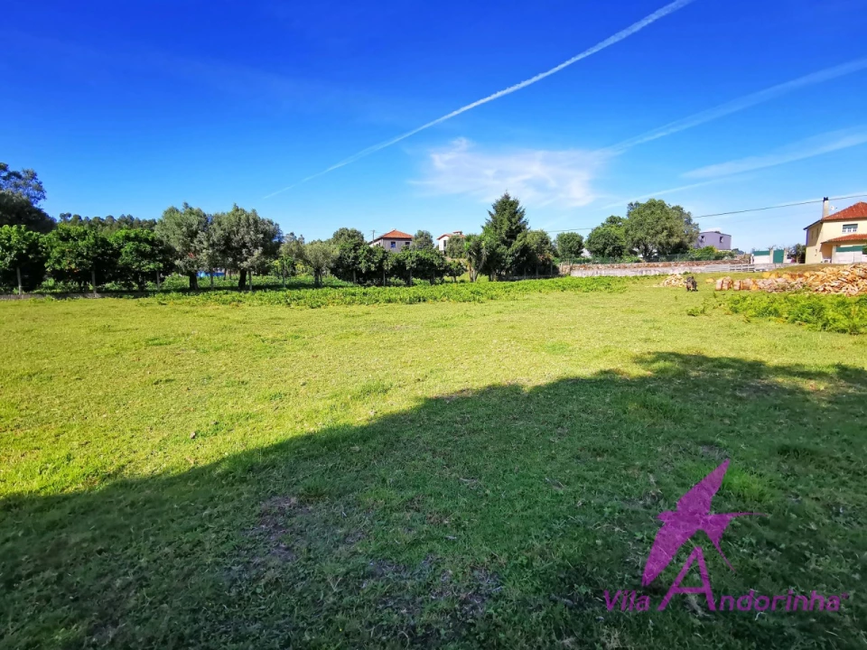 Terreno para Venda em São Pedro de Arcos Foto 10