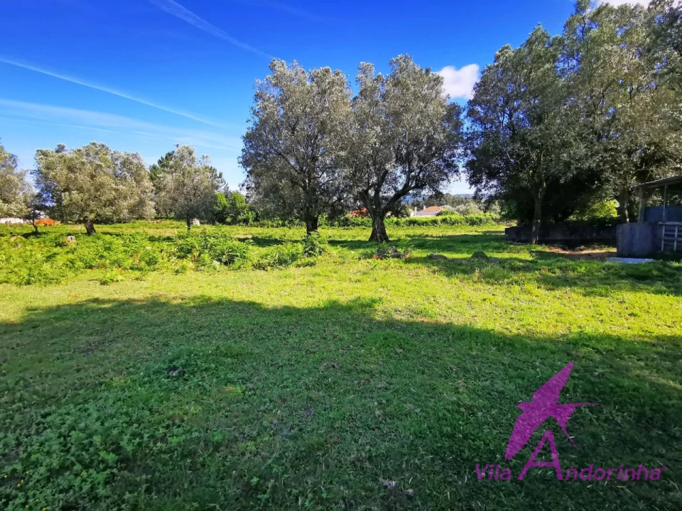 Terreno para Venda em São Pedro de Arcos Foto 12
