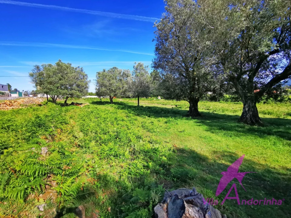 Terreno para Venda em São Pedro de Arcos Foto 15