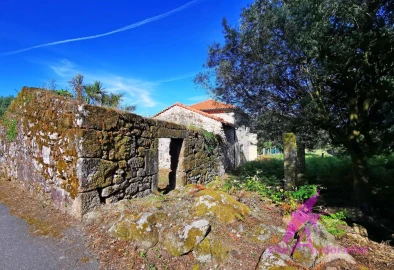 Terreno para Venda em São Pedro de Arcos