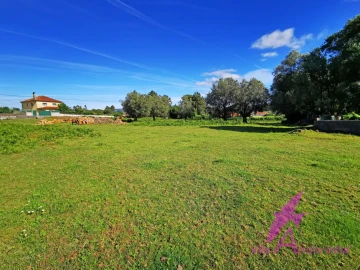 Terreno para Venda em São Pedro de Arcos