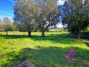 Terreno para Venda em São Pedro de Arcos