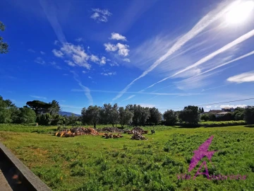 Terreno para Venda em São Pedro de Arcos