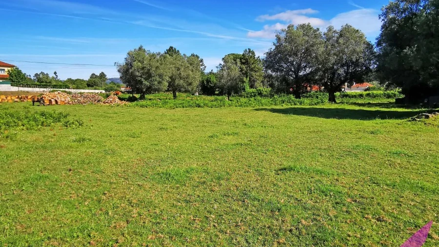 Terreno para Venda em São Pedro de Arcos
