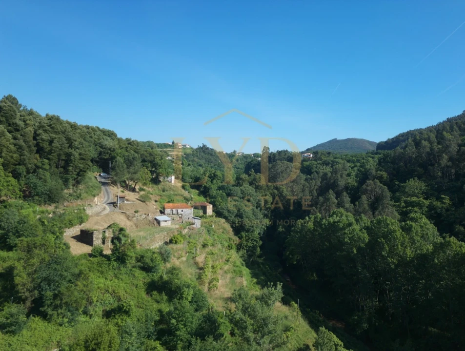 Quinta T2 para Venda em Santa Maria de Sardoura Foto 3