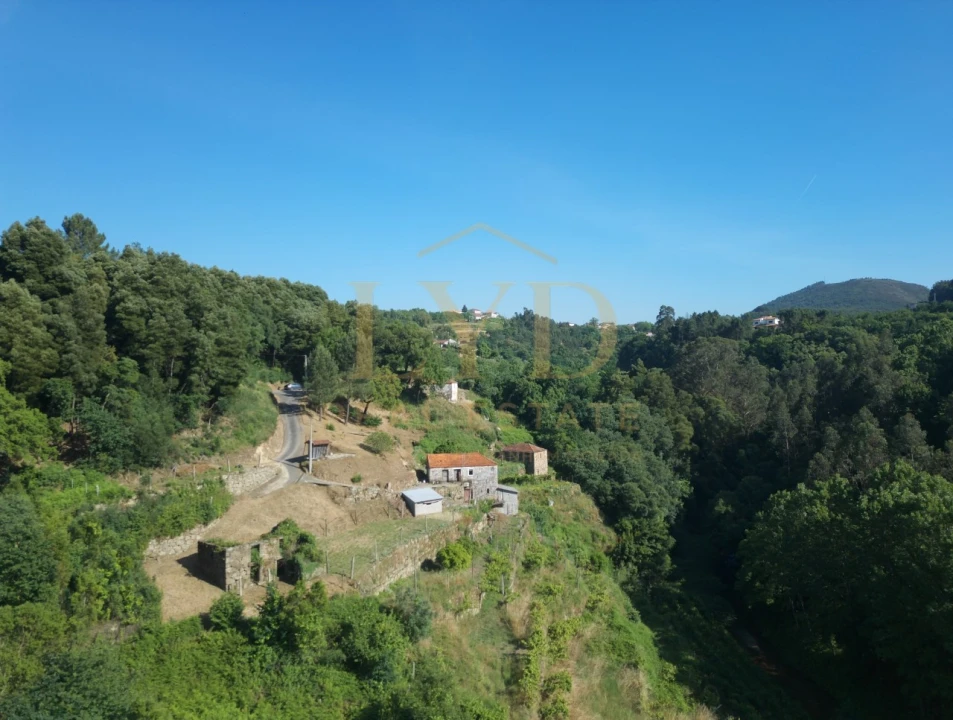 Quinta T2 para Venda em Santa Maria de Sardoura Foto 4