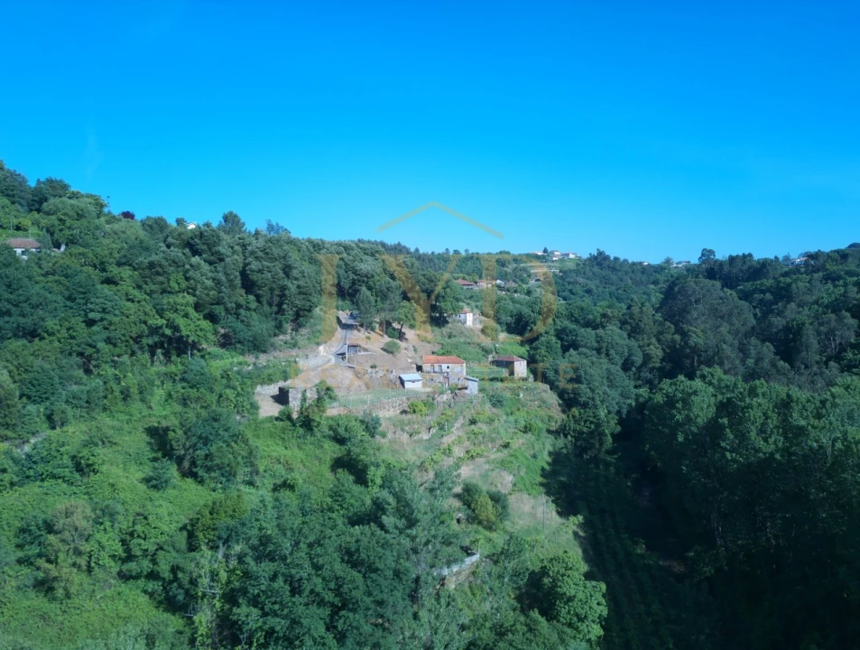 Quinta T2 para Venda em Santa Maria de Sardoura Foto 5