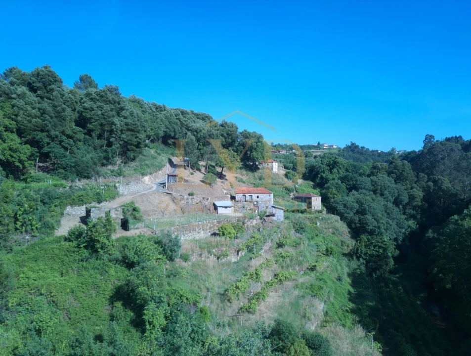 Quinta T2 para Venda em Santa Maria de Sardoura Foto 7