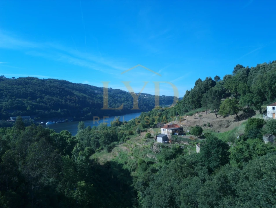Quinta T2 para Venda em Santa Maria de Sardoura Foto 8