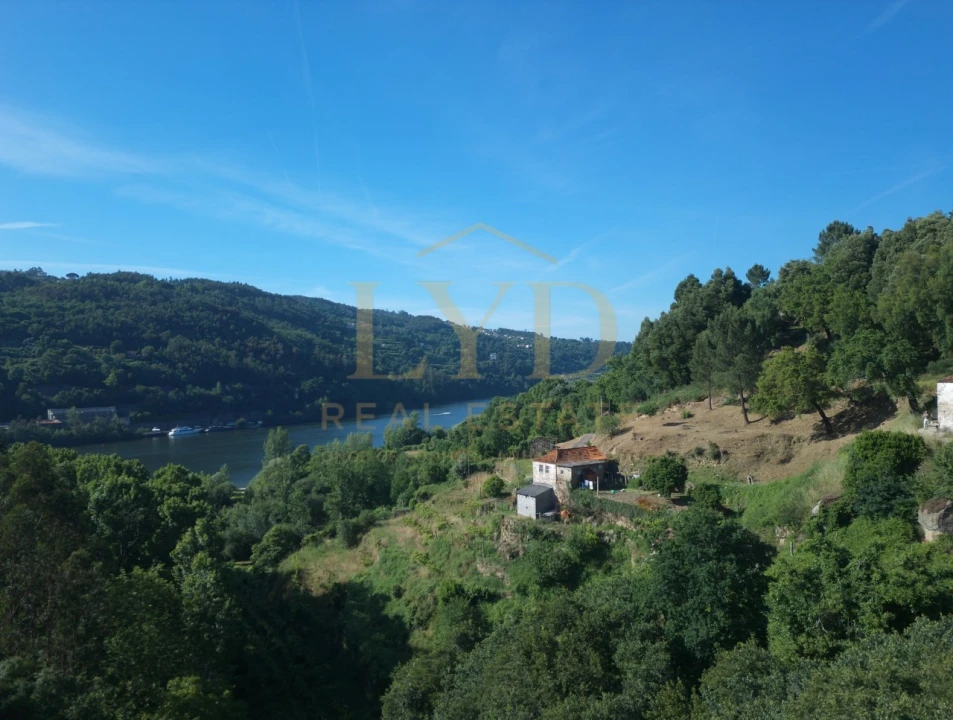 Quinta T2 para Venda em Santa Maria de Sardoura Foto 9
