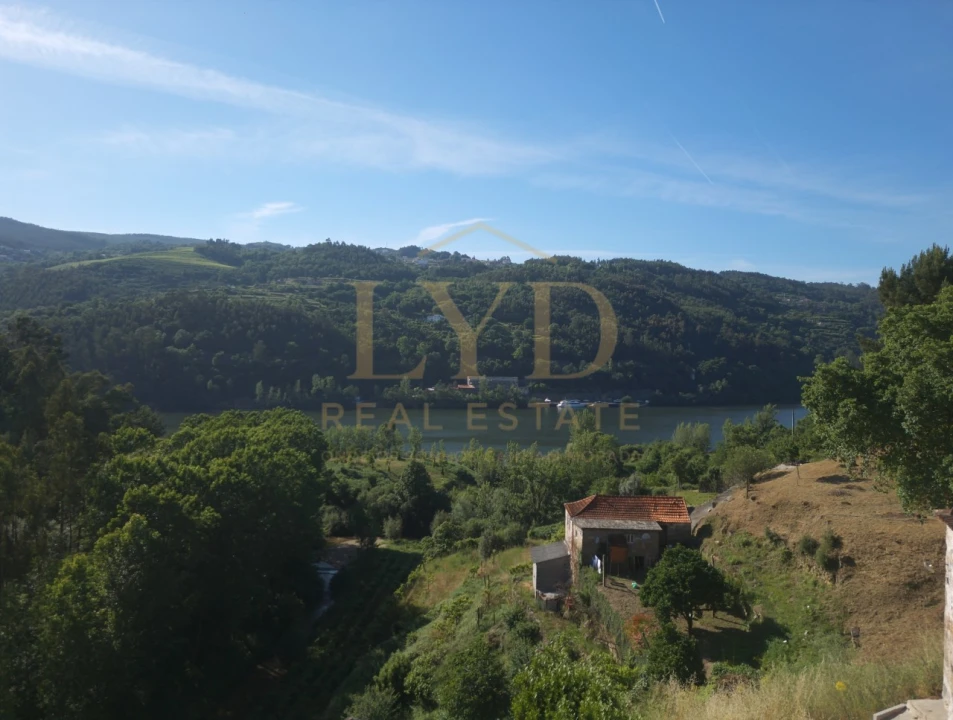 Quinta T2 para Venda em Santa Maria de Sardoura Foto 10