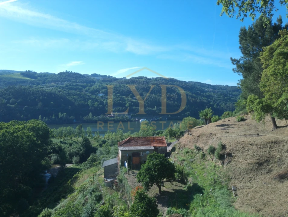 Quinta T2 para Venda em Santa Maria de Sardoura Foto 12