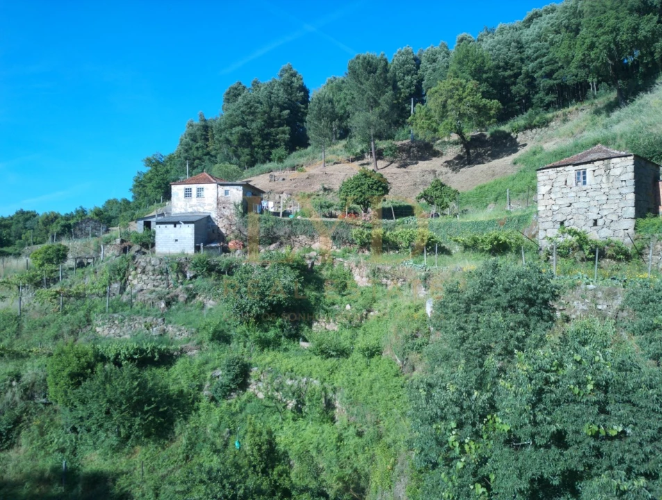Quinta T2 para Venda em Santa Maria de Sardoura Foto 14