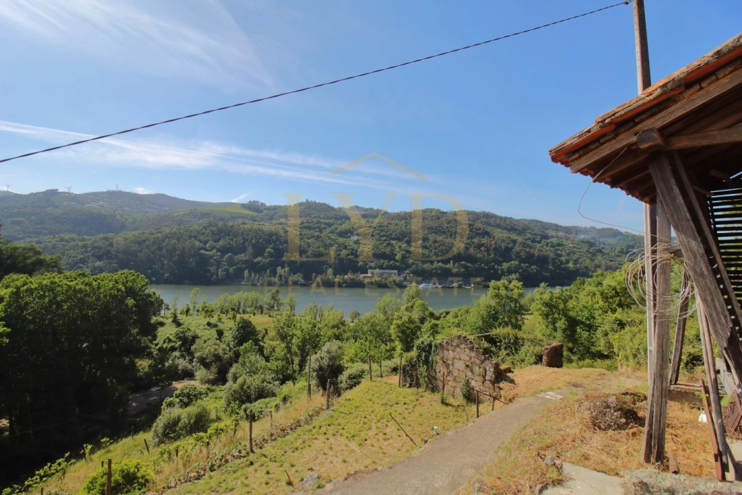 Quinta T2 para Venda em Santa Maria de Sardoura Foto 19