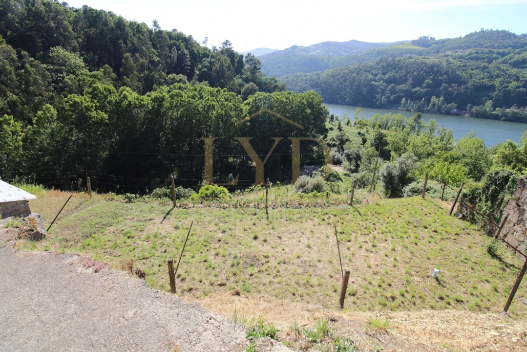Quinta T2 para Venda em Santa Maria de Sardoura Foto 20