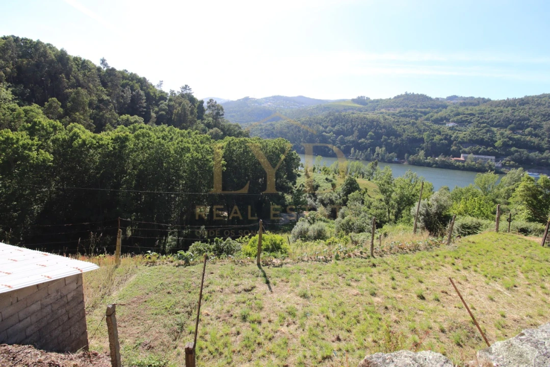 Quinta T2 para Venda em Santa Maria de Sardoura Foto 21