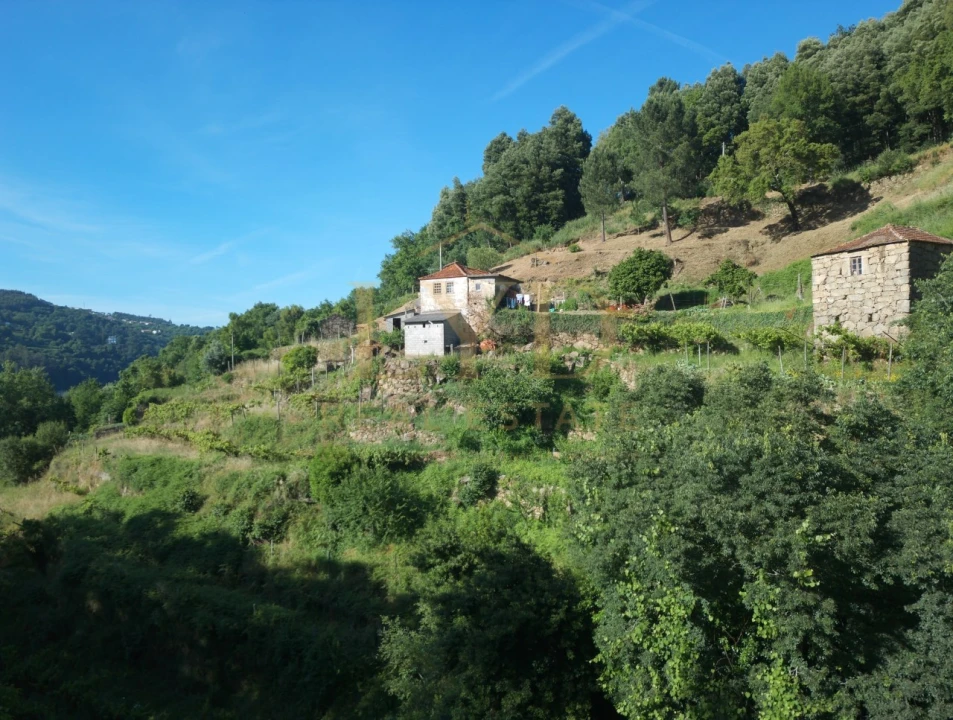 Quinta T2 para Venda em Santa Maria de Sardoura Foto 22