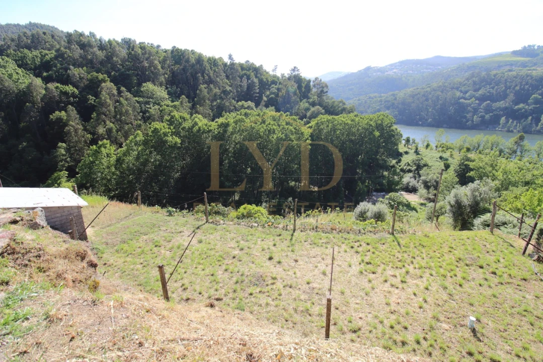 Quinta T2 para Venda em Santa Maria de Sardoura Foto 23