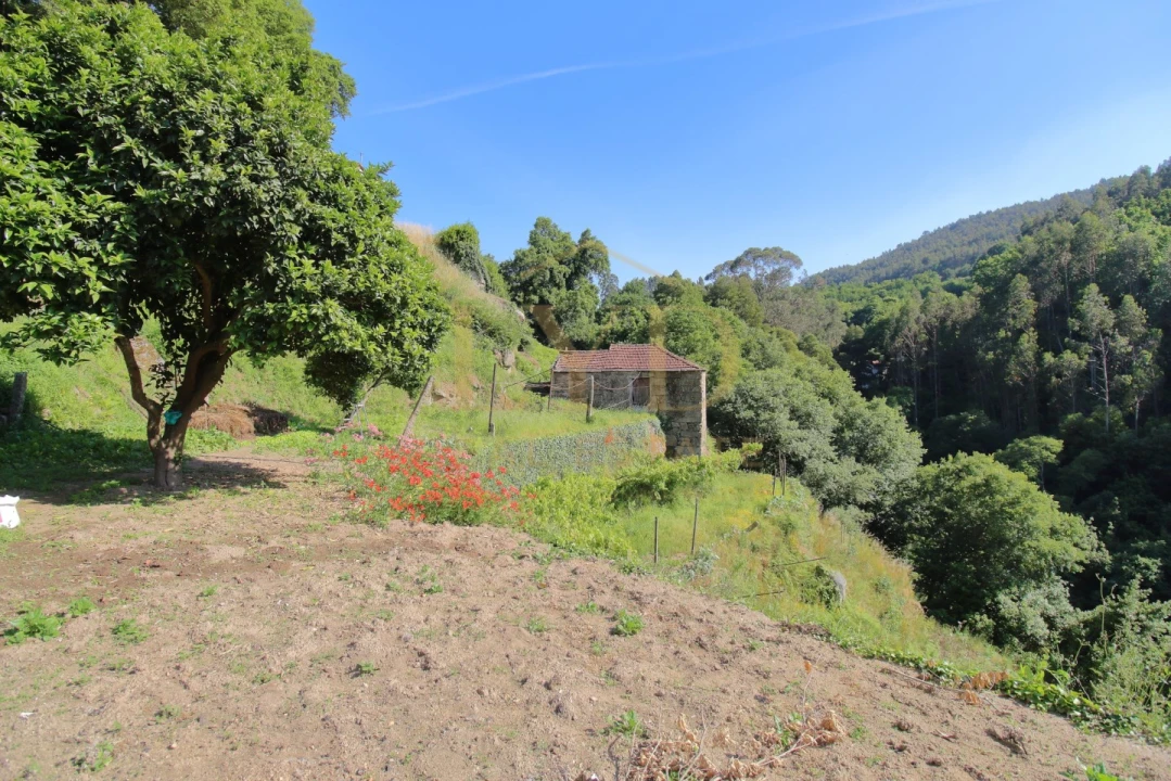 Quinta T2 para Venda em Santa Maria de Sardoura Foto 25