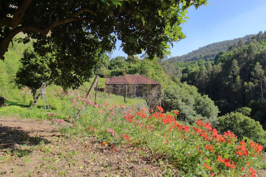 Quinta T2 para Venda em Santa Maria de Sardoura Foto 26