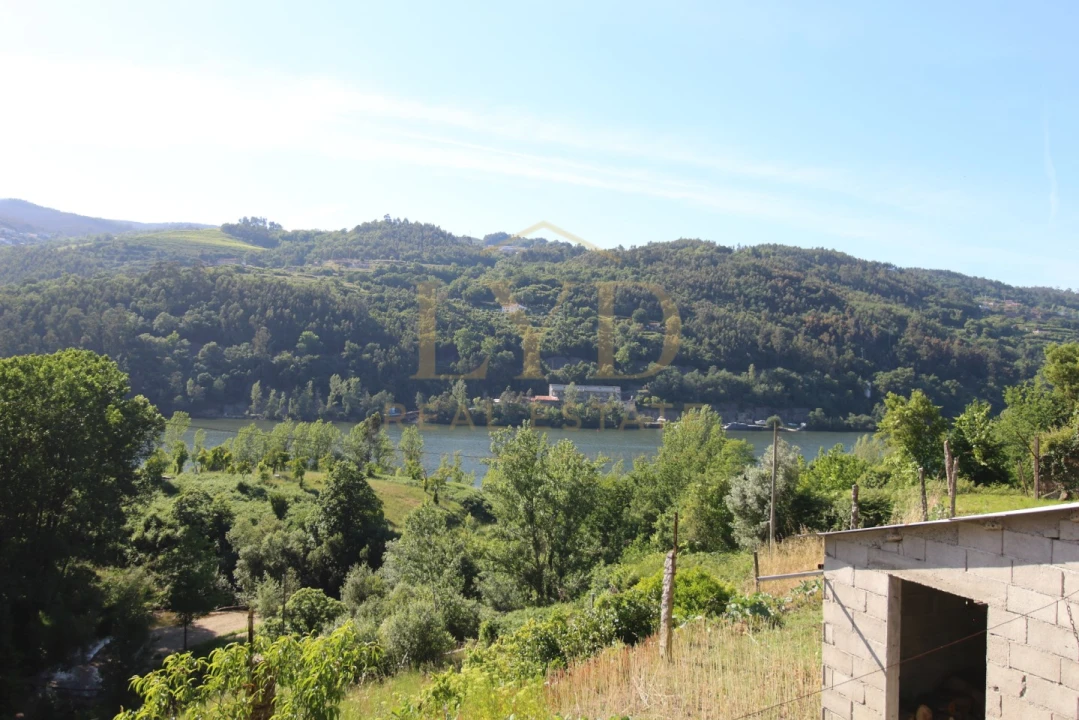 Quinta T2 para Venda em Santa Maria de Sardoura Foto 28