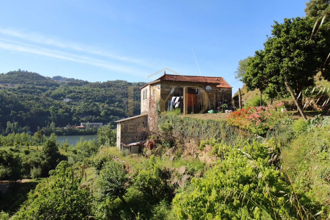 Quinta T2 para Venda em Santa Maria de Sardoura Foto 30