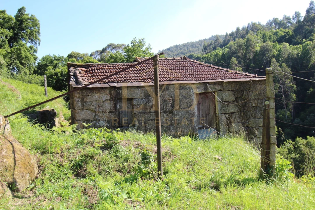 Quinta T2 para Venda em Santa Maria de Sardoura Foto 31