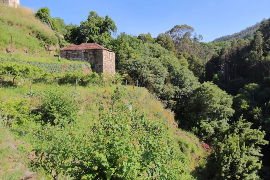 Quinta T2 para Venda em Santa Maria de Sardoura Foto 32