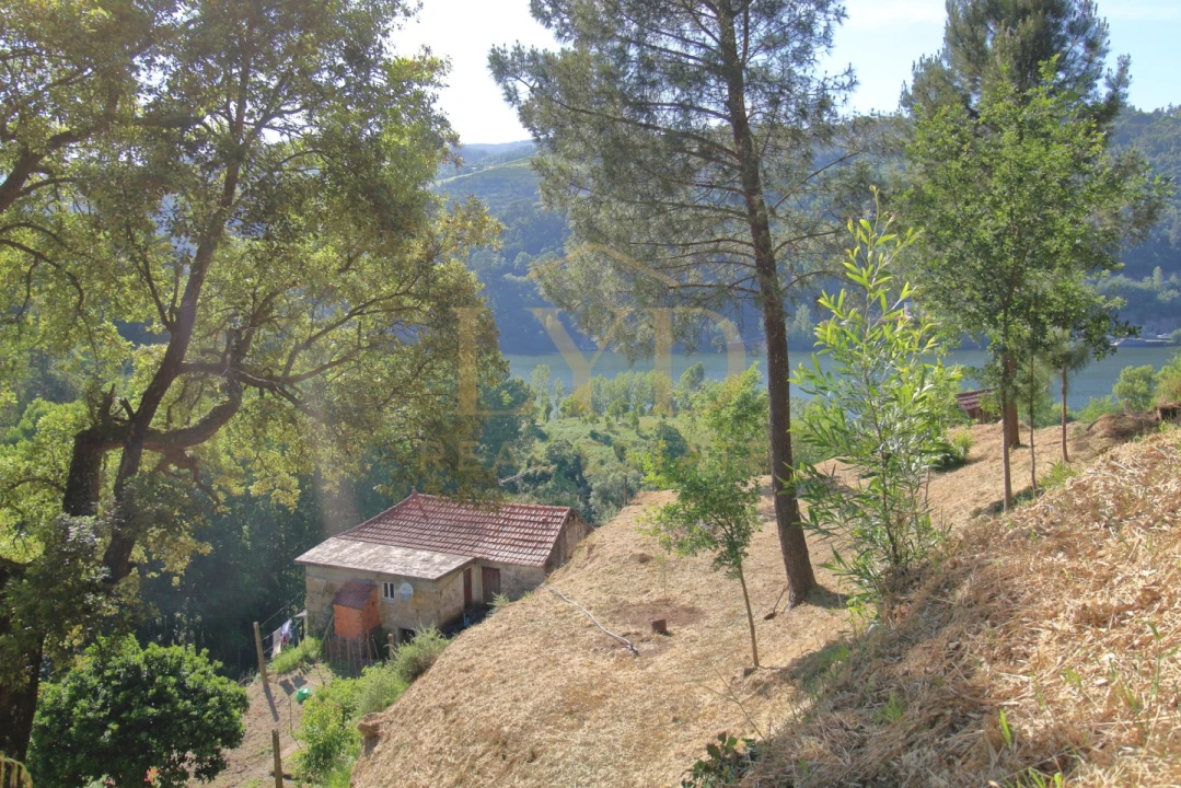 Quinta T2 para Venda em Santa Maria de Sardoura Foto 33