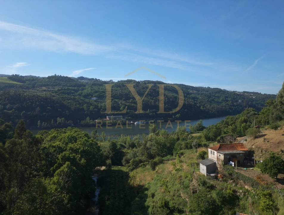 Quinta T2 para Venda em Santa Maria de Sardoura Foto 1