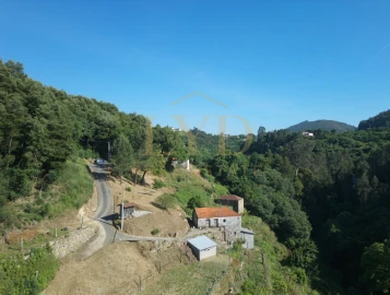 Quinta T2 para Venda em Santa Maria de Sardoura