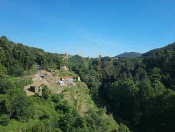 Quinta T2 para Venda em Santa Maria de Sardoura