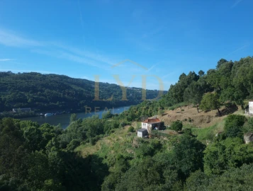 Quinta T2 para Venda em Santa Maria de Sardoura