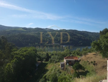 Quinta T2 para Venda em Santa Maria de Sardoura