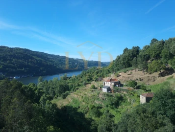 Quinta T2 para Venda em Santa Maria de Sardoura
